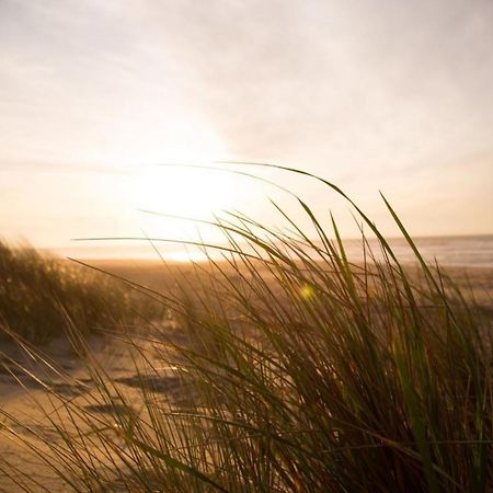 Kleine Nordseewelle Ohne Hund 诺登 外观 照片