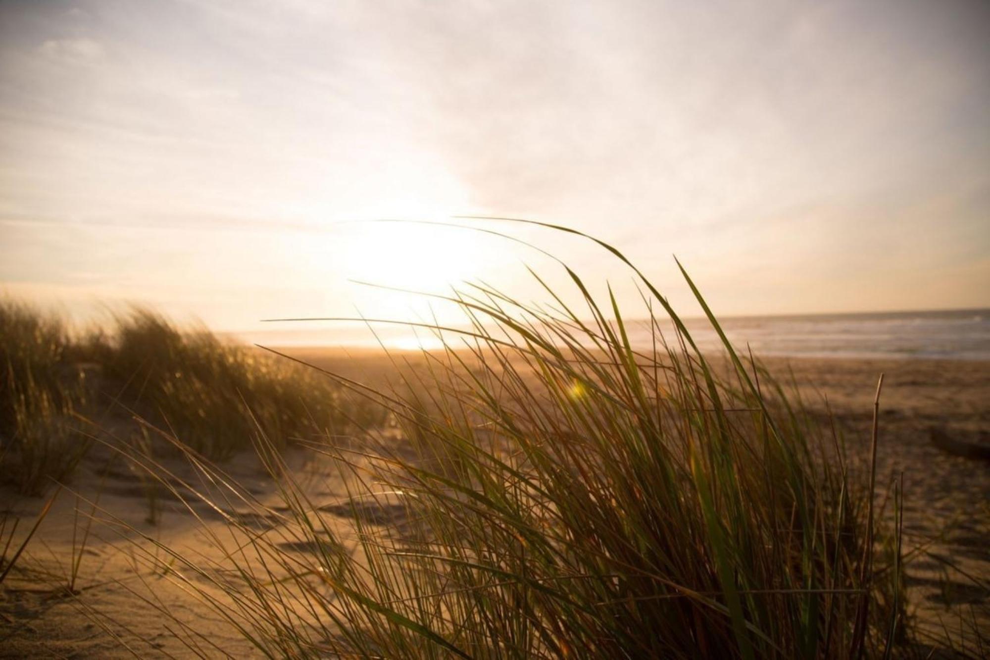 Kleine Nordseewelle Ohne Hund 诺登 外观 照片